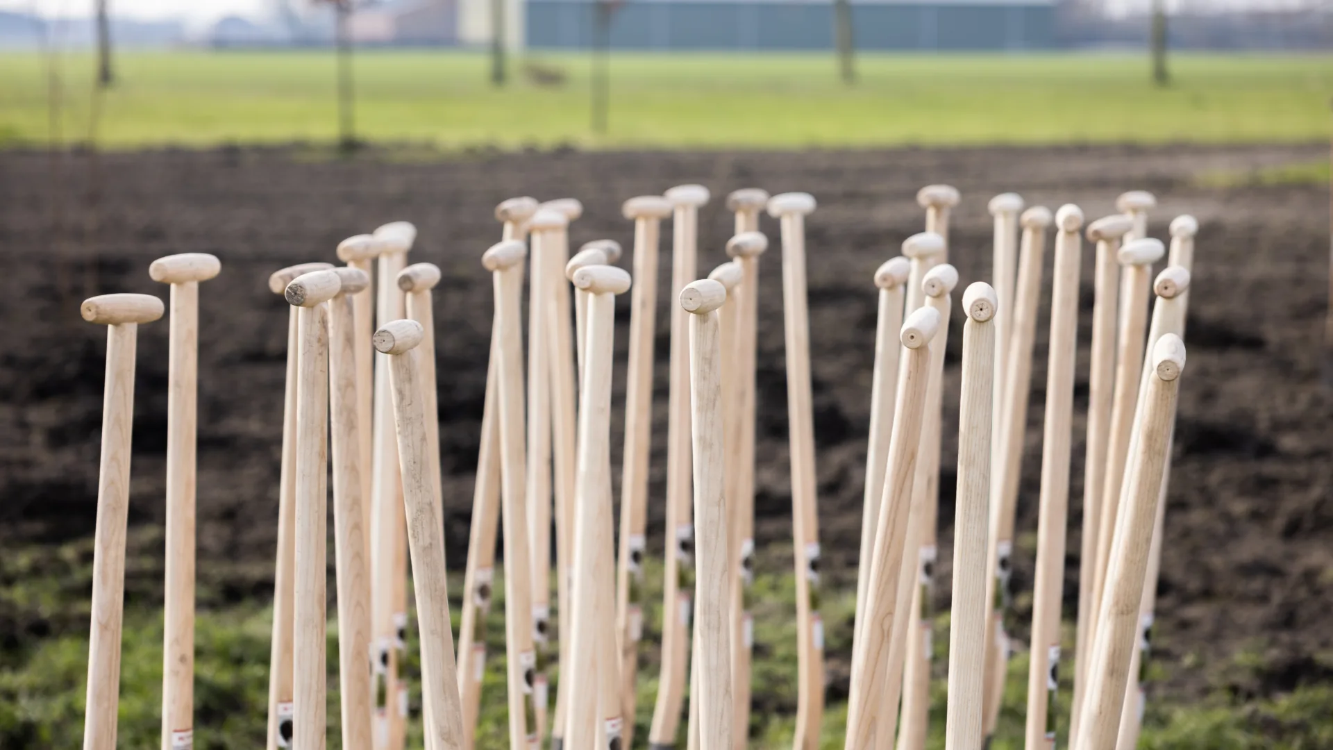Isabella Merkestijn IM 20230215 L7 A7502