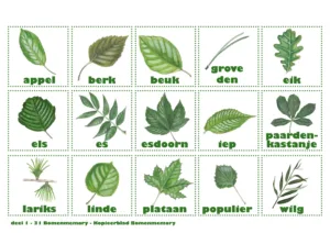 5a3d96c3a4cd98177ef882337db0d271b5a04728